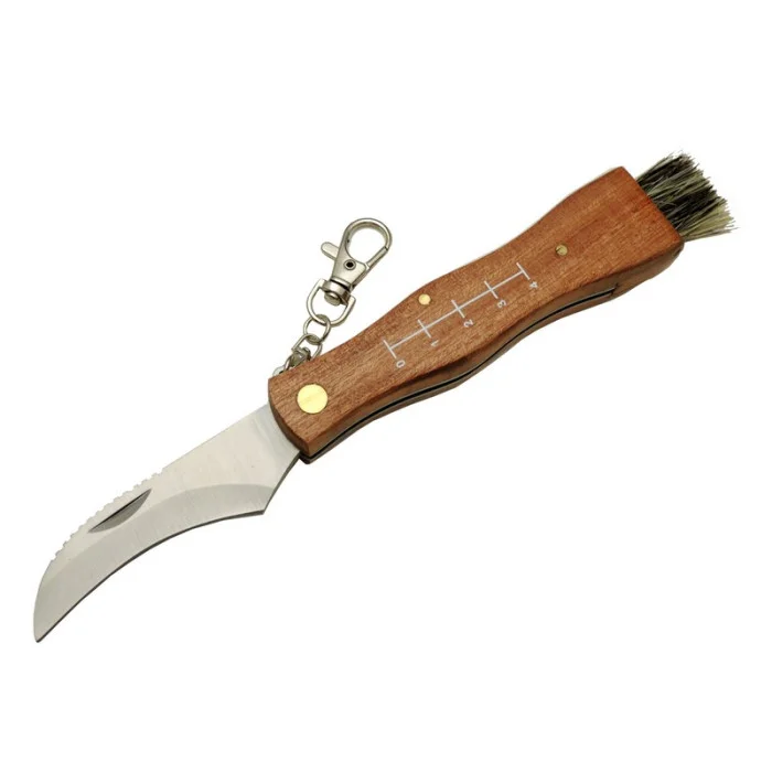 mantar-cakisi-b-mt2-21-cm.webp